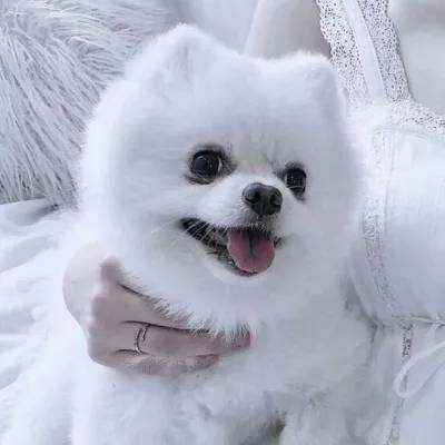 飞行队长vr破解版下载