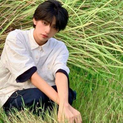 冒险岛传说手游官方下载